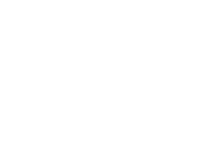 icon nsw